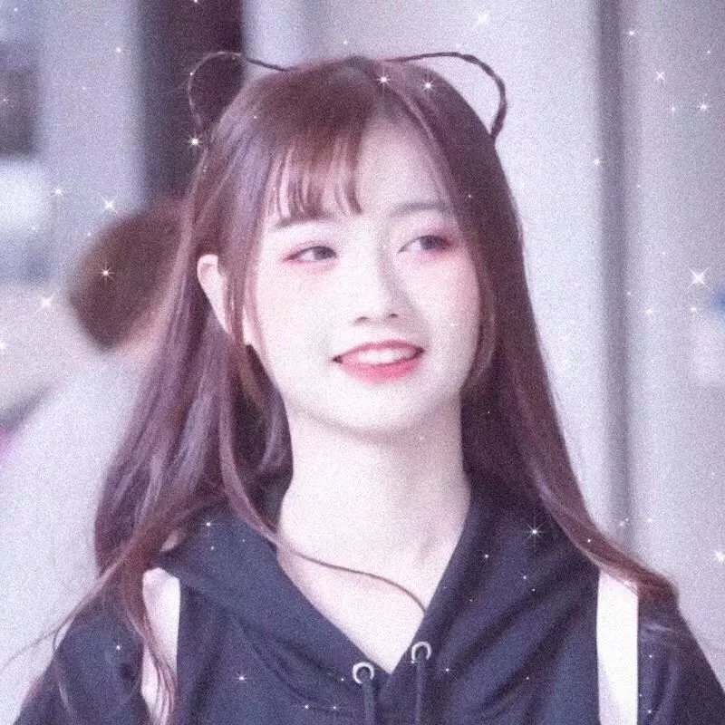 大小姐和看门犬